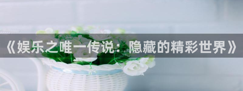 彩名堂计划怎么样：《娱乐之唯一传说：隐藏的精彩世界》