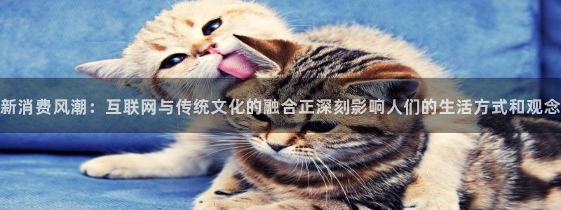 彩名堂官方平台：新消费风潮：互联网与传统文化的融合正深刻影响人们的生活方式和观念