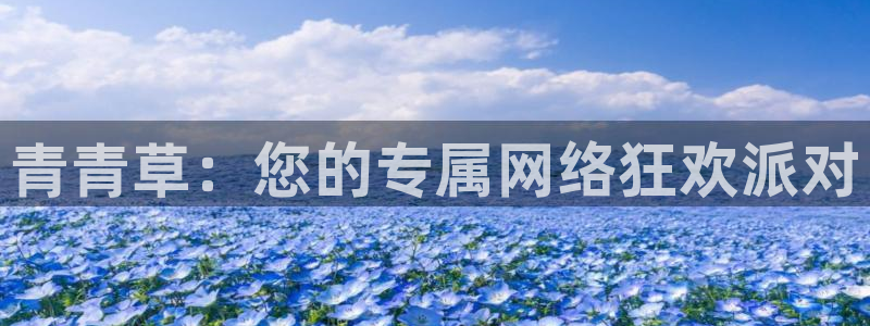 彩名堂计划旧版本：青青草：您的专属网络狂欢派对