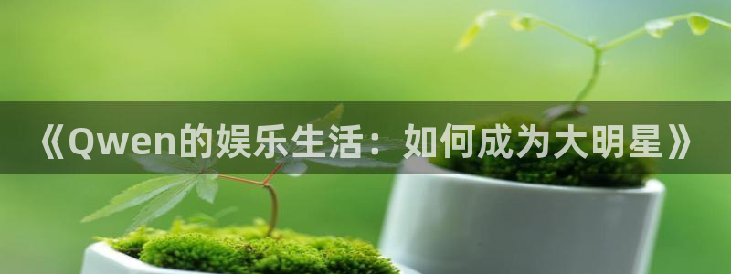 彩名堂旧版本：《Qwen的娱乐生活：如何成为大明星》