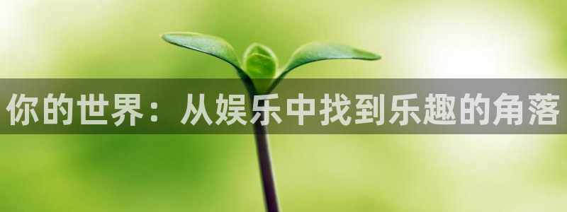 彩名堂安卓版：你的世界：从娱乐中找到乐趣的角落