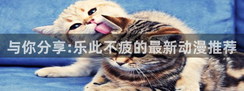 彩名堂计划软件下载：与你分享:乐此不疲的最新动漫推荐