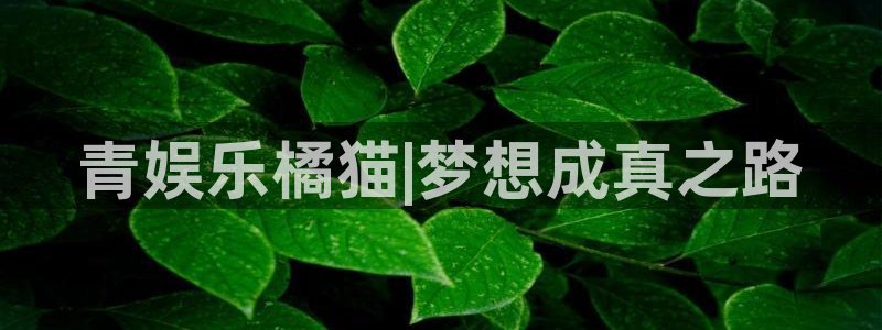 彩名堂官网计划：青娱乐橘猫|梦想成真之路