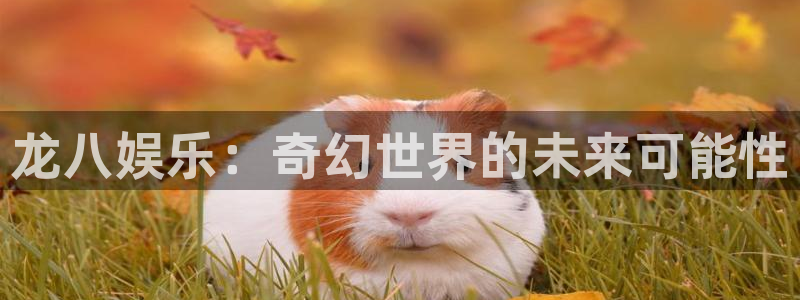 彩名堂怎么样：龙八娱乐：奇幻世界的未来可能性