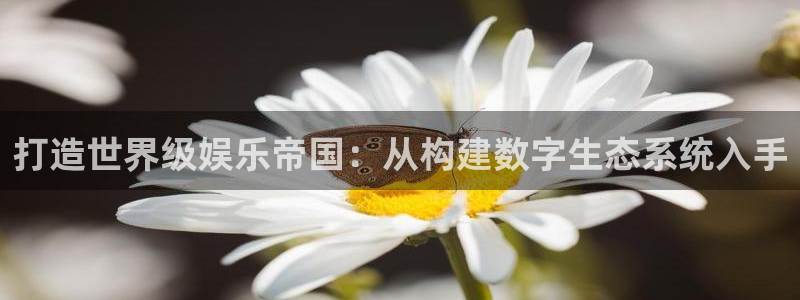 彩名堂计划怎么样：打造世界级娱乐帝国：从构建数字生态系统入手
