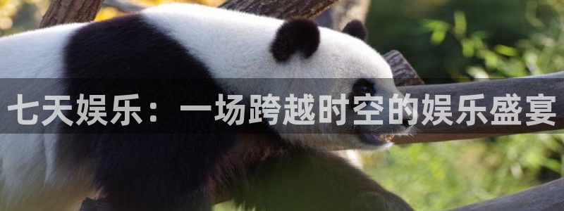 彩名堂计划怎么打不开了：七天娱乐：一场跨越时空的娱乐盛宴